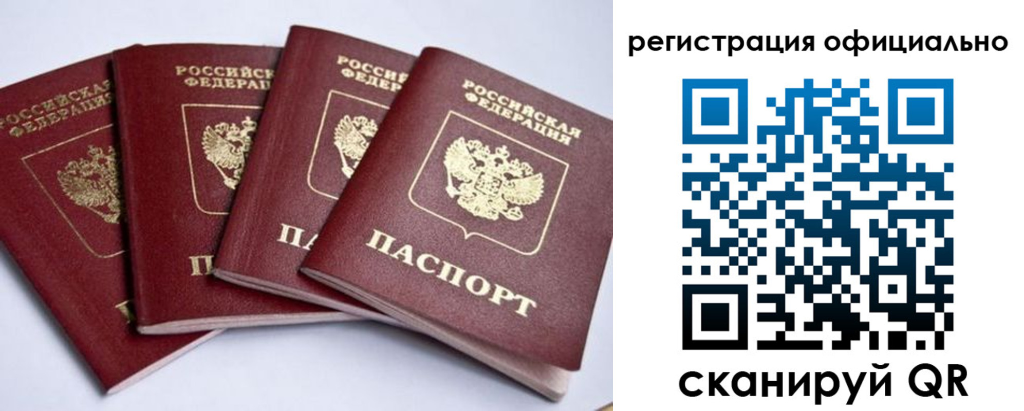 пропишу в квартире в Балашихе